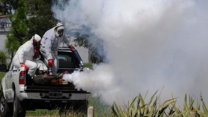 Los casos de dengue subieron 80%, hay 18 fallecidos y el brote se extiende en el interior bonaerense