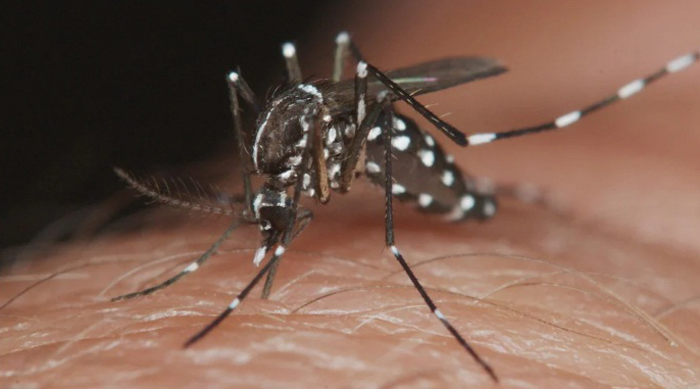 Lincoln entre los municipios declarados con “brote de dengue”