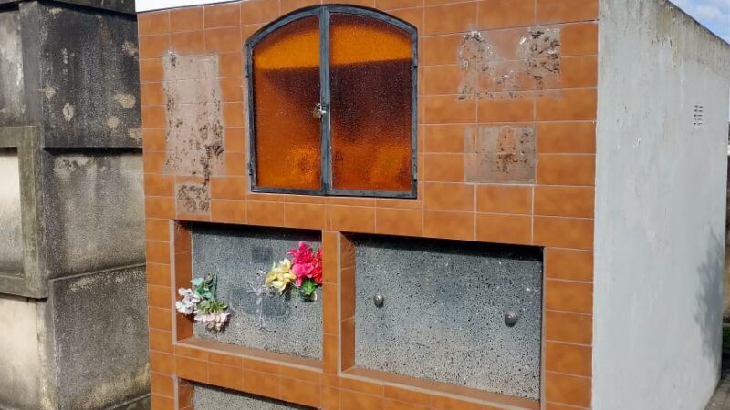 El Cementerio Municipal, blanco de hurtadores de placas